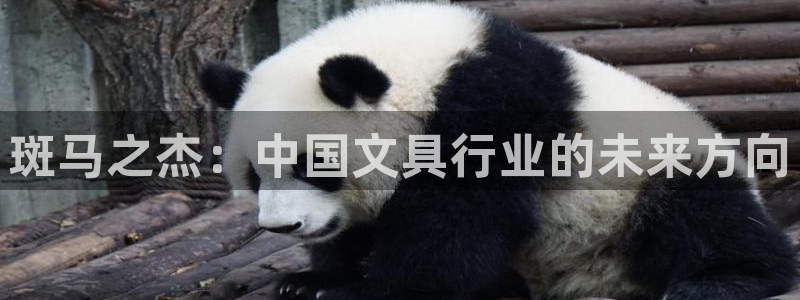 彩名堂移动客户端官网：斑马之杰：中国文具