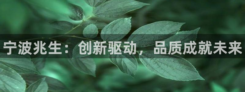 彩名堂5.0版计划怎么用不了