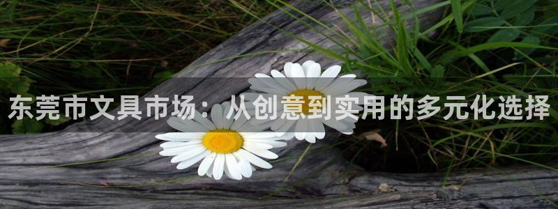 彩名堂官网2