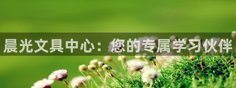 彩名堂旧版本
