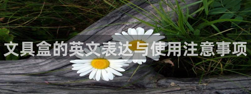 彩名堂最新免费计划官网