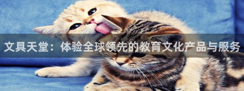 彩名堂好用还是千里马好用