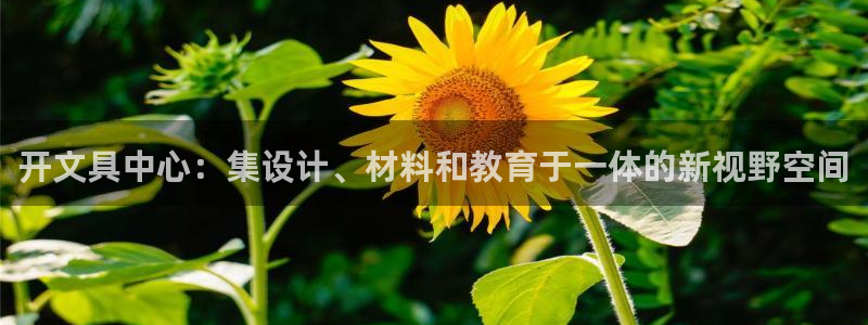 彩名堂免费计划官网5.0.0：开文具中心