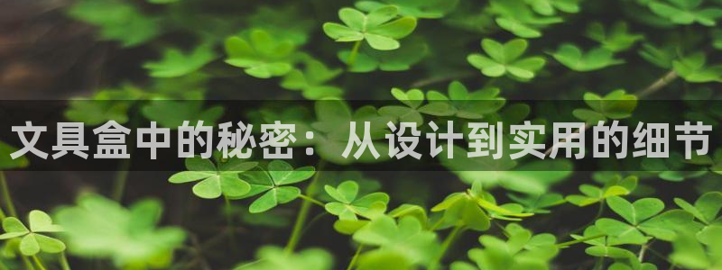 彩名堂是正规的公司吗：文具盒中的秘密：从