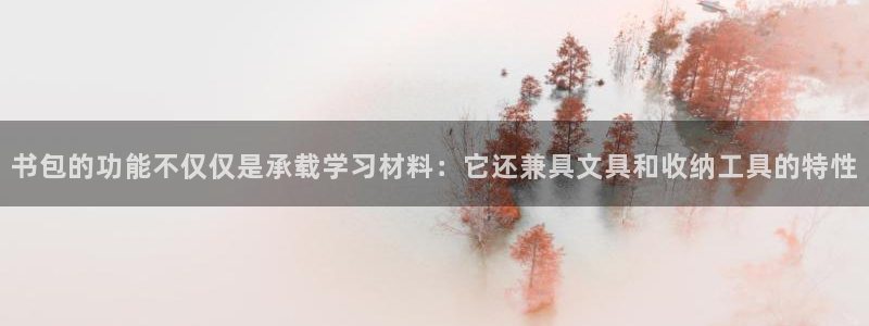 彩名堂官网在线计划：书包的功能不仅仅是承