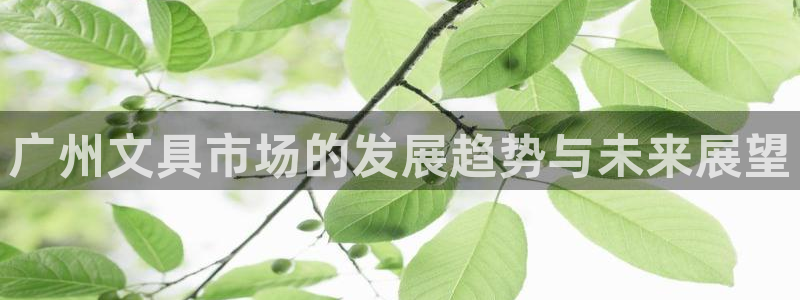 彩名堂免费计划使用方法：广州文具市场的发