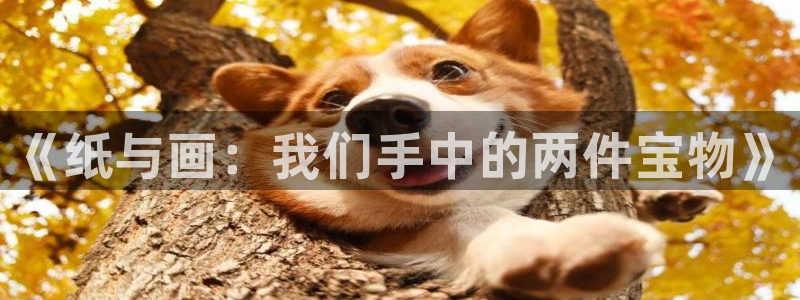彩名堂计划和01计划怎么很稳：《纸与画：
