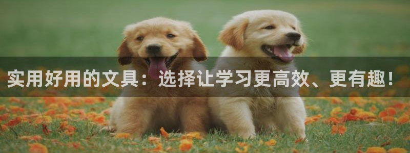 彩名堂免费计划官网5.0版下载链接：实用