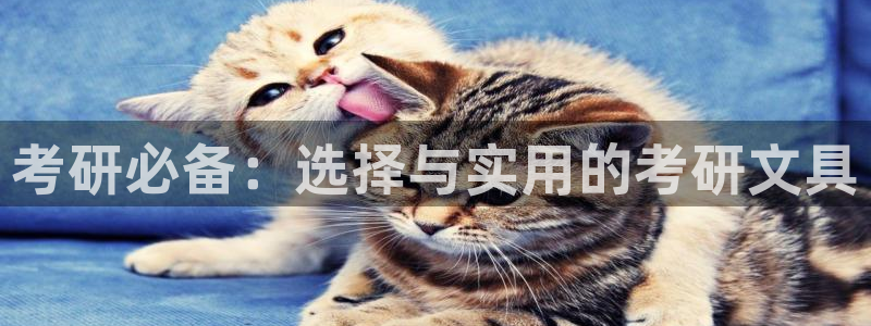 彩名堂计划怎么跟不挂