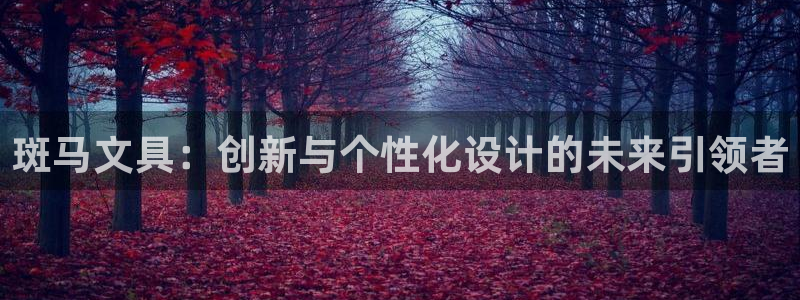 彩名堂旧版本：斑马文具：创新与个性化设计