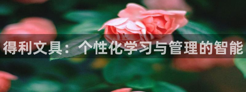 彩名堂计划怎么跟不挂