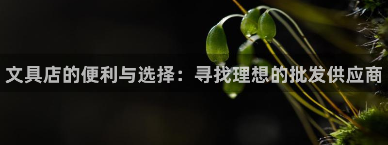彩名堂官网