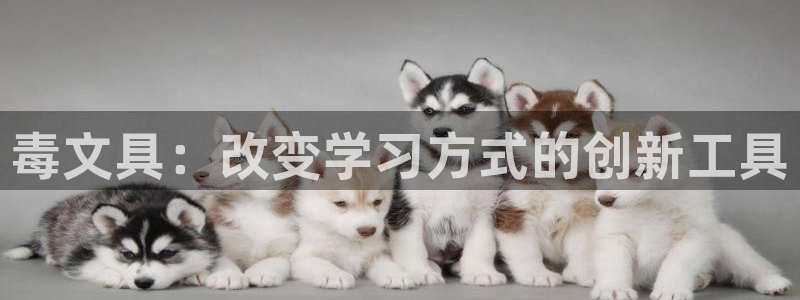 彩名堂怎么买准确率高一点：毒文具：改变学