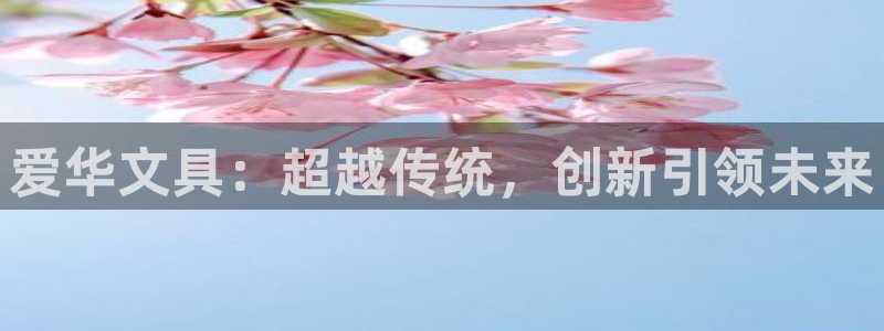 彩名堂01计划