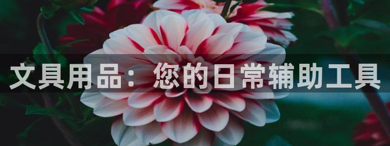彩名堂计划技巧有哪些