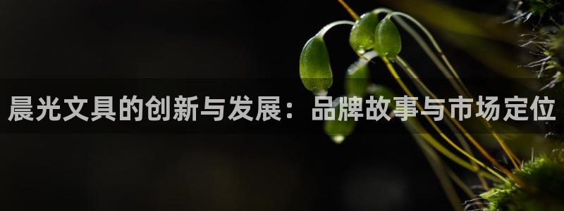 彩名堂5.0计划永久免费版为什么下不了