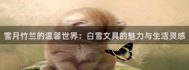 彩名堂怎么跟计划才不连挂在一起：雪月竹兰