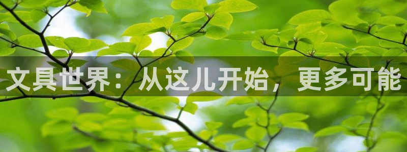 彩名堂预测网站：文具世界：从这儿开始，更