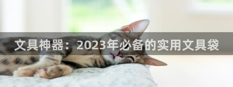 彩名堂免费计划官网老版本：文具神器：20