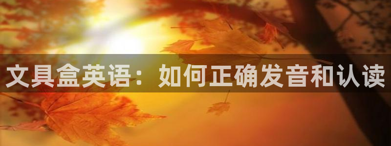 彩名堂免费计划官网50：文具盒英语：如何