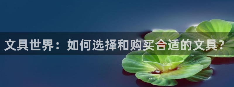 彩名堂旧版本：文具世界：如何选择和购买合