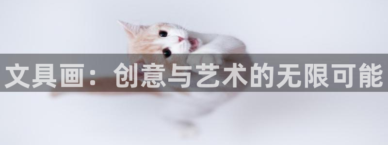 正规彩名堂官网计划：文具画：创意与艺术的