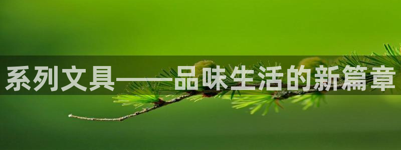 彩名堂官网：系列文具——品味生活的新篇章