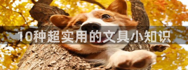 彩名堂预测：10种超实用的文具小知识