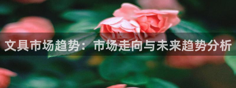 彩名堂app下载5.1.0：文具市场趋势