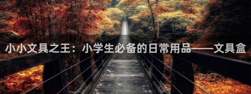 彩名堂免费计划官网怎么进不去了：小小文具