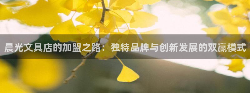 彩名堂app官方网：晨光文具店的加盟之路