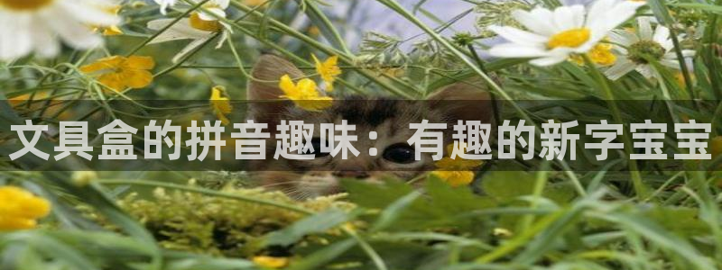 彩名堂苹果客户端：文具盒的拼音趣味：有趣