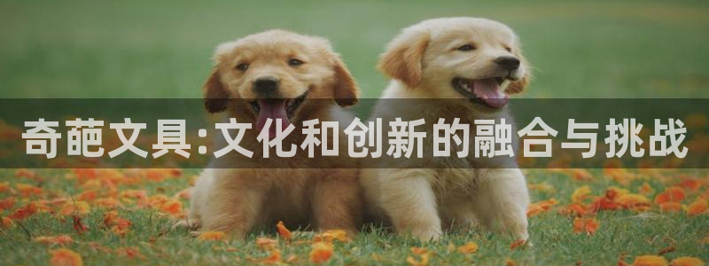 彩名堂免费计划官网购彩计划：奇葩文具:文