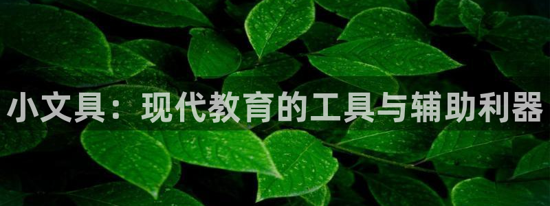 下载彩名堂预测计划软件安卓：小文具：现代
