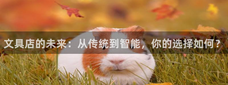 彩名堂官网计划01：文具店的未来：从传统