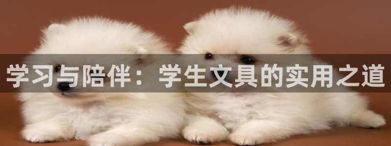 彩名堂改名稻草人了吗是真的吗：学习与陪伴