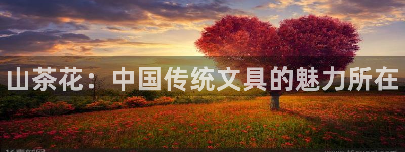 彩名堂苹果客户端：山茶花：中国传统文具的