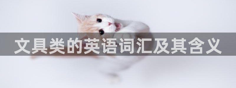 彩名堂计划怎么出的：文具类的英语词汇及其