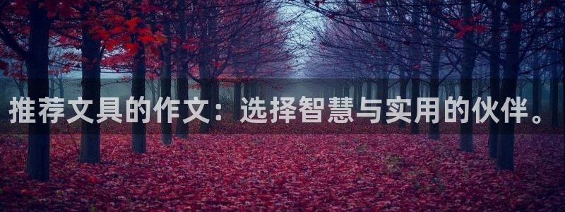 彩名堂使用方法：推荐文具的作文：选择智慧