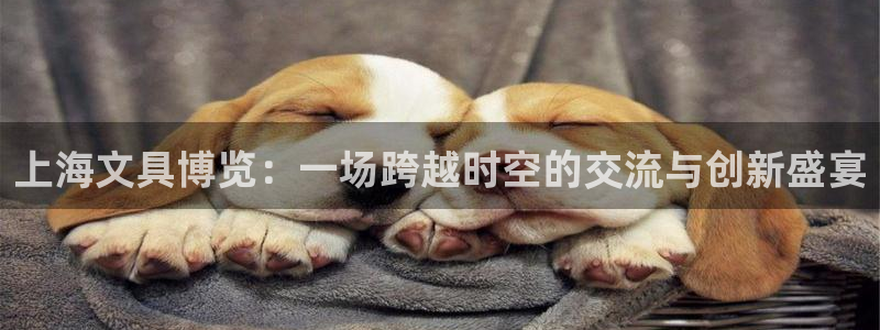 彩名堂加拿大怎么买准确率高：上海文具博览