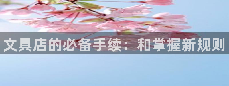 彩名堂怎么选稳定计划产品：文具店的必备手