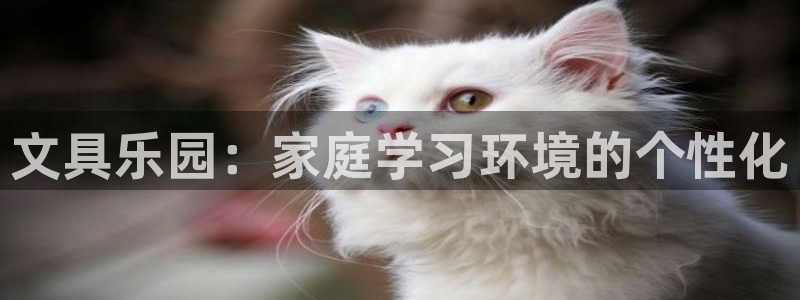 彩名堂预测：文具乐园：家庭学习环境的个性