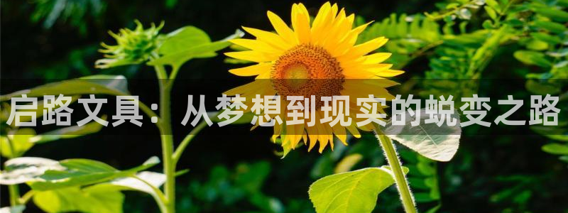 彩名堂怎么样：启路文具：从梦想到现实的蜕
