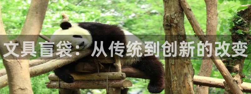 老版本彩名堂计划软件：文具盲袋：从传统到