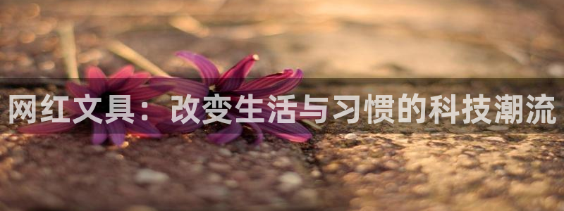 彩名堂移动客户端官网：网红文具：改变生活