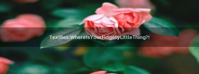 彩名堂官网计划怎么下载到手机：Texti