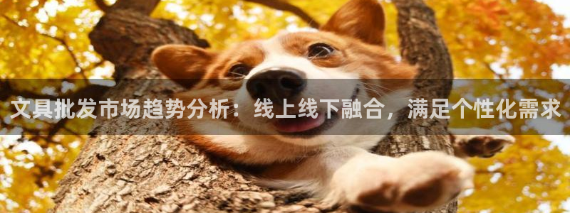 彩名堂最新预测3d：文具批发市场趋势分析