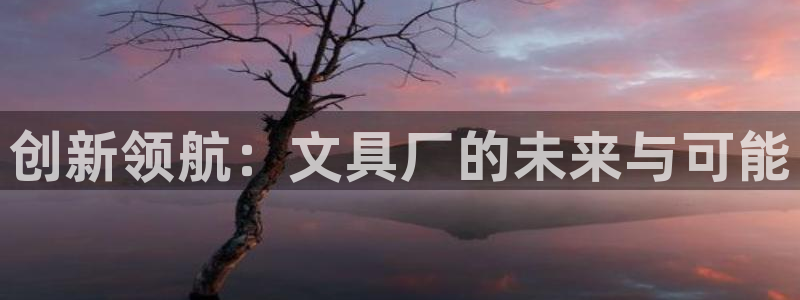 彩名堂5.0!：创新领航：文具厂的未来与