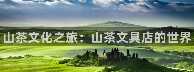 彩名堂计划最新版手机版：山茶文化之旅：山