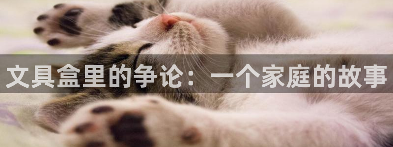 彩名堂免费计划软件下载：文具盒里的争论：